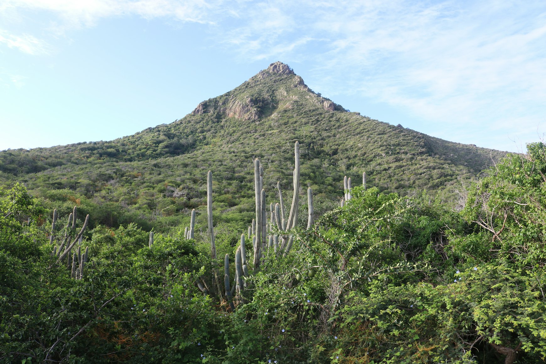 Christoffelberg mountain, Curaçao